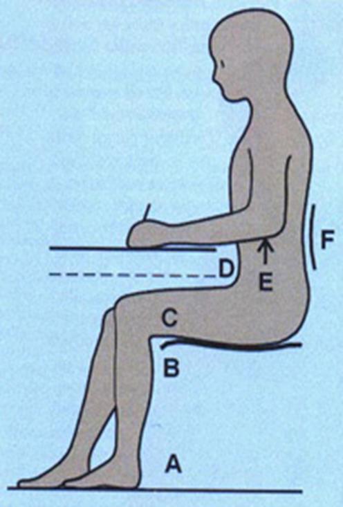 Prawidłowa postawa przy stanowisku pracy ucznia A - podeszwy stóp (w butach) powinny na całej powierzchni dotykać podłogi B tylna część podudzia nie powinna dotykać krawędzi siedziska C przednia