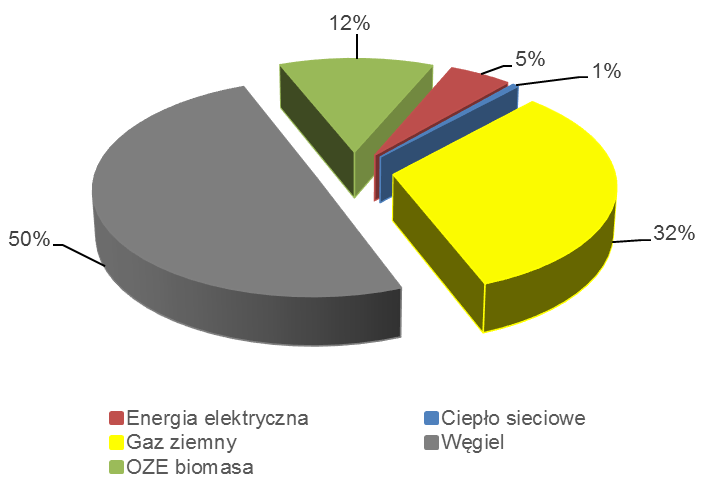 184 280 MWh, a jego struktura przedstawiona została graficznie na poniższym wykresie.