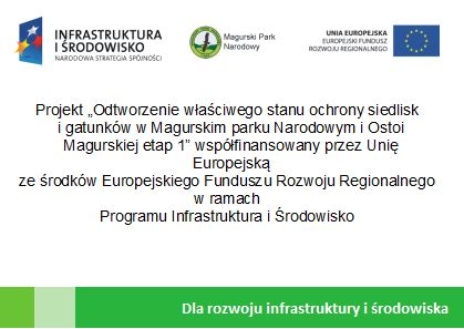 Ryc. 2 Wzór tablicy pamiątkowej POIiŚ 2.2. Projekt, wykonanie i montaż tablicy pamiątkowej NFOŚiGW (szerokość 1 m x wysokość 0,75 m).