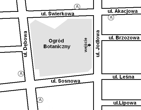 Zadanie 6. Obejrzyj plan miasta. Wejście do Ogrodu Botanicznego znajduje się przy ulicy A. Świerkowej. B. Dębowej. C. Jodłowej. Przeczytaj poniższą informację i rozwiąż zadanie 7. i 8.