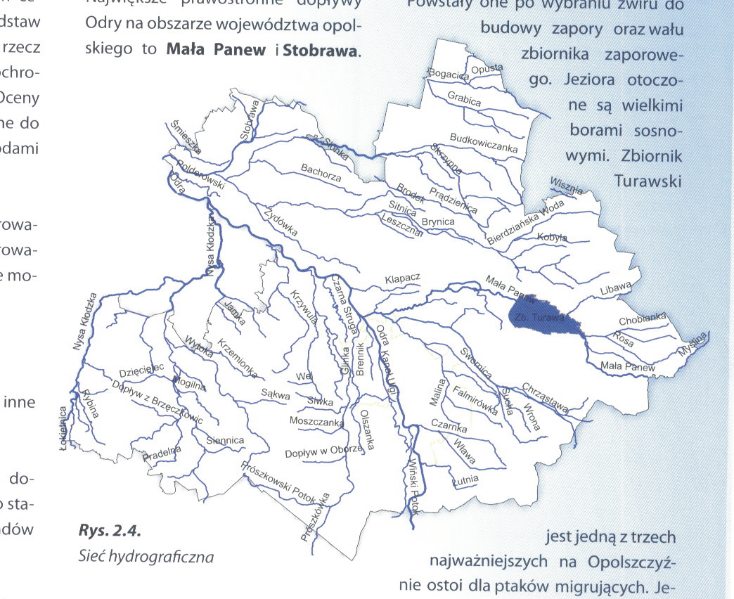 AKTUALIZACJA PROGRAMU OCHRONY ŚRODOWISKA 7.3. Ochrona wód Wody powierzchniowe: Wody płynące Główną rzeką przepływającą przez Powiat jest Odra, na terenie Powiatu osiąga długość ok. 45 km.