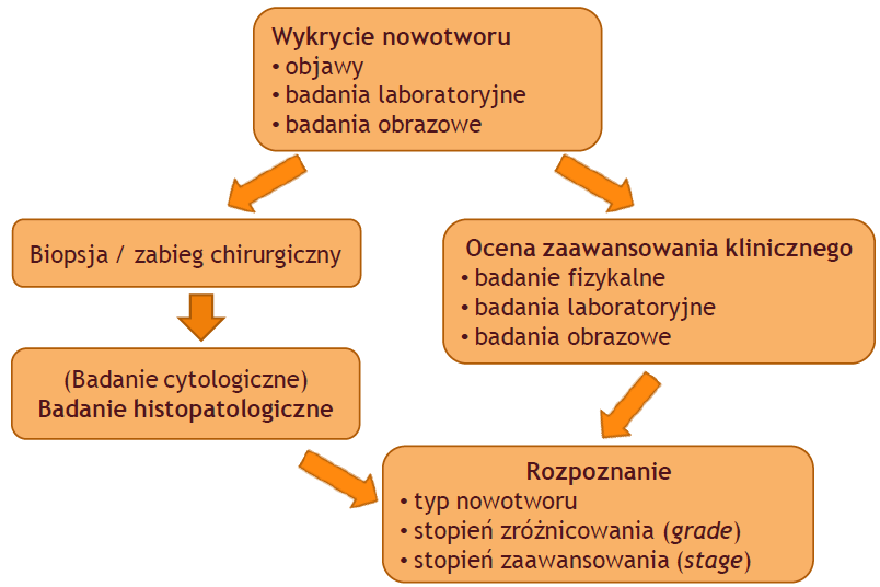 Rozpoznanie choroby