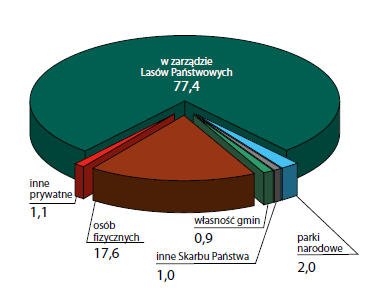 Lasy w Polsce