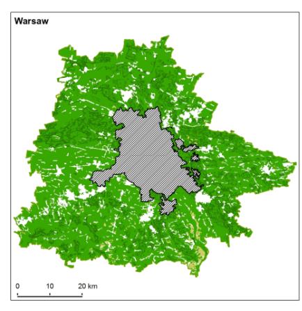 Białystok Gdańsk Kraków Funkcja środowiskotwórcza / Usługi regulacyjne Podstawa: Łódź Lublin