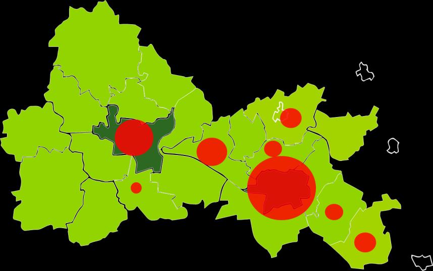 Diagnoza obszaru BTOF kluczowe potrzeby Kultura i ochrona dziedzictwa kulturowego Kultura i ochrona dziedzictwa kulturowego Kluczowe potrzeby i wyzwania Na obszarze funkcjonalnym istnieją duże