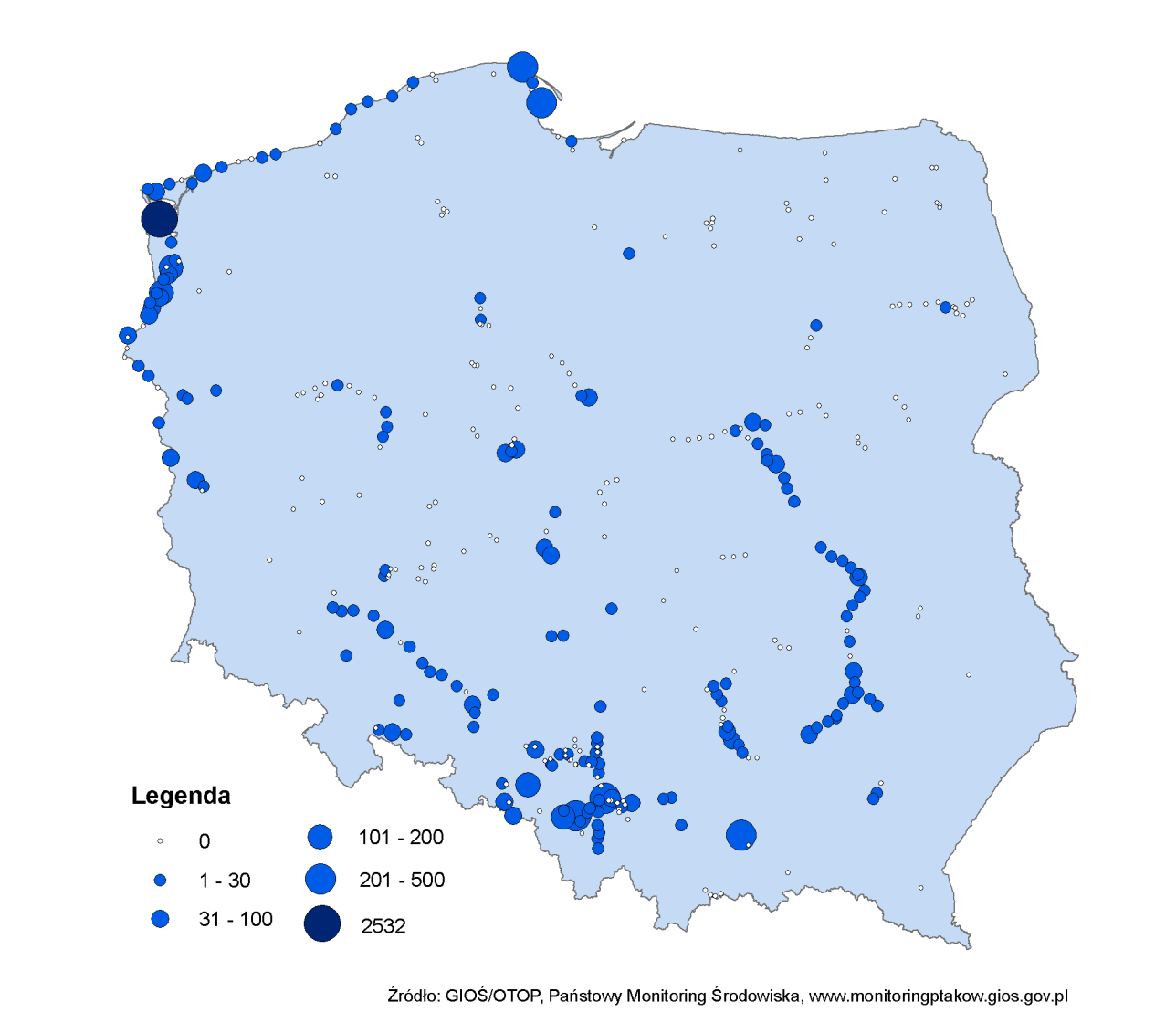 Rys. 11. Rozmieszczenie oraz wielkośd zgrupowao kormoranów na obiektach Monitoringu Zimujących Ptaków Wodnych w styczniu 2011 4.