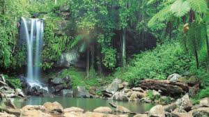 PARK KAKADU Leży w północnej części Australii. Utworzono go w 1981 roku i jeszcze w tym samym roku znalazł się na liście światowego dziedzictwa UNESCO.