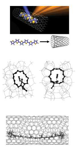 Fizykochemia ograniczonych przestrzeni kompleksy endohedralne molekuły w nanokanałach