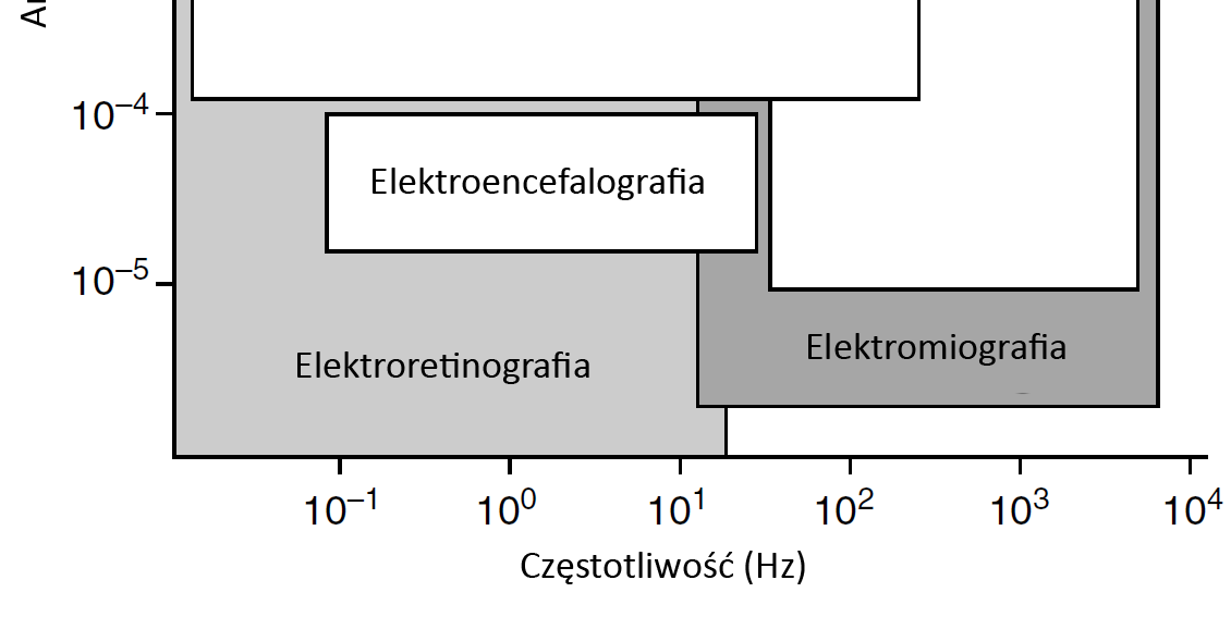 2 ZASADY ODBIORU SYGNAŁU EKG 2.1 Wprowadzenie W medycynie praktyczne wykorzystanie czynności elektrycznej komórek rozpoczęło się zanim jeszcze podjęto próby wyjaśnienia jej genezy.