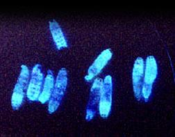 Biosensory oparte na