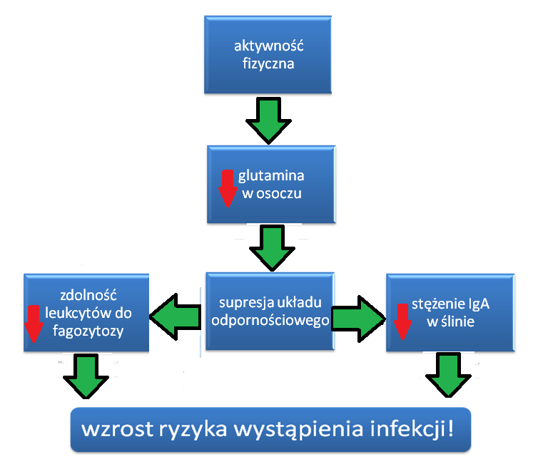 Mechanizmy powstawania zespołu przetrenowania. Mechanizm powstawania zespołu przetrenowania jest bardzo złożony i niejednoznaczny.