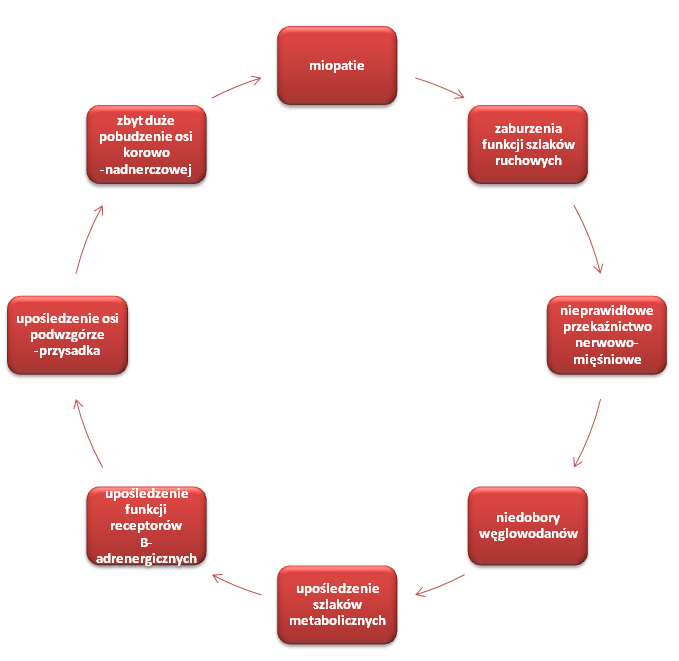 równowagi pracy układu współczulnego i układu przywspółczulnego powodujące zaburzenie pracy tego układu.
