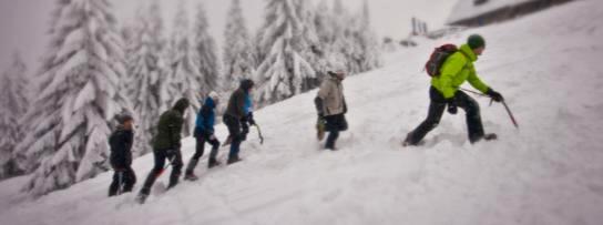 UCZESTNICY WINTERCAMPU: 10/22 Pochodzą z całej Polski: