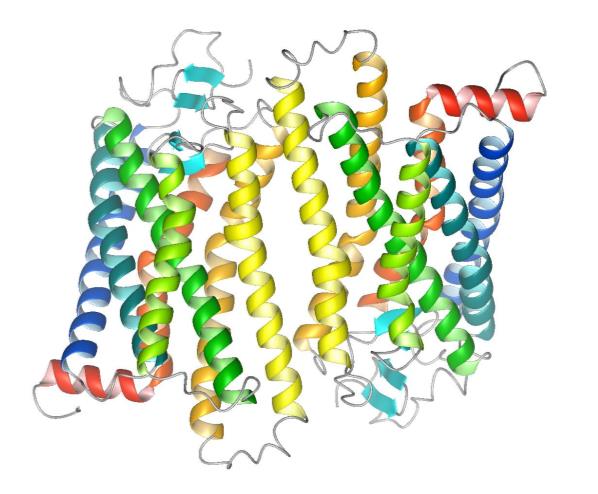 Wyznaczanie struktury białka z kryształu Kryształy rodopsyny Obraz dyfrakcyjny Zbieranie