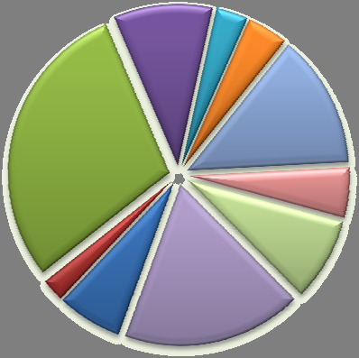 Activity results The following graph shows structure of export and import of goods by countries in 2013 (for tonnes).