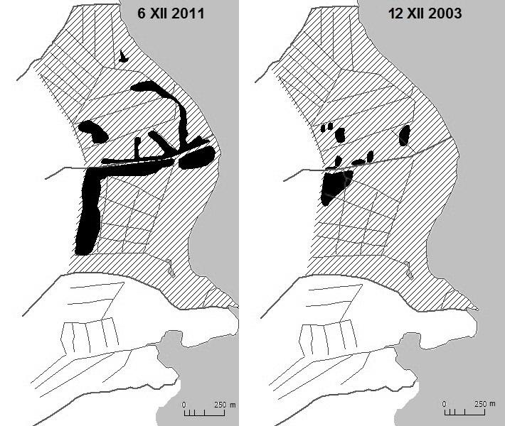 Zbiorcze sprawozdanie 220032 PLH Zatoka Pucka i Półwysep Helski Zastoiska na obszarze rezerwatu Beka powstają w bezpośrednim sąsiedztwie głównych kanałów i rowów melioracyjnych oraz tuż za wałem