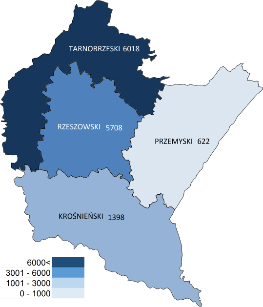 Mapa 13. Wartość importu w poszczególnych powiatach i podregionach województwa podkarpackiego 2013 r.