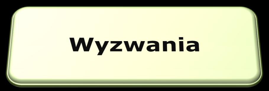 EURO 2012 Wyzwania Uzupełnienie zaplecza technicznego i osobowego głównie średnich i małych firm Zwiększenie nakładów na szkolenia pracowników Wypracowanie procedur w przypadku ataku