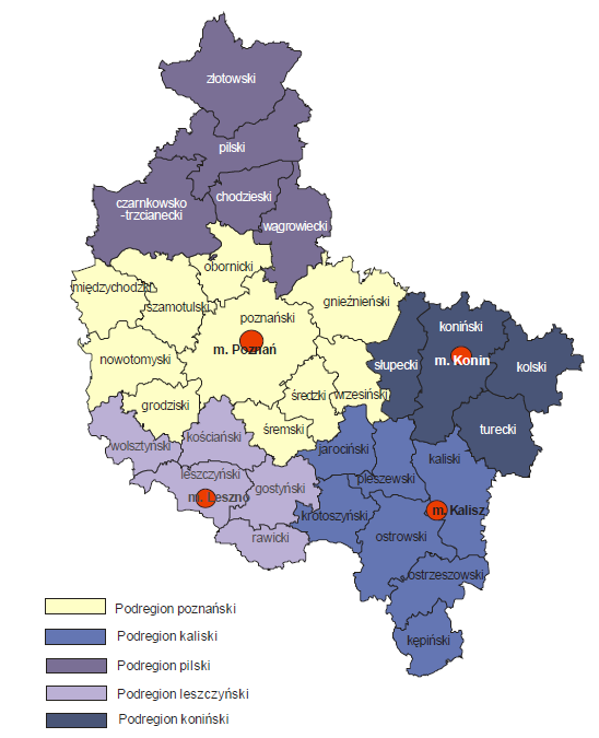 19,2 11,0 Stopa bezrobocia w powiatach w województwie wielkopolskim (wg stanu w dniu 31.12.2010r.