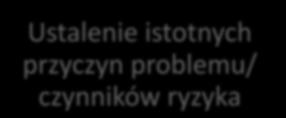 Założenia do przetworzenia Diagnoza problemu/ wybór grupy docelowej Ustalenie istotnych