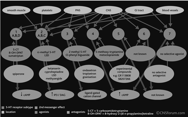 czynniki psychospołczne teoria psychoanalityczna- depresja stanowi następstwo rzeczywistej lub symbolicznej utraty ukochanej osoby(obiektu miłości), co jest traktowane jako odrzucenie.