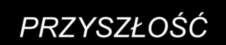 PRZYSZŁOŚĆ wdrożenie zunifikowanego programu praktyki na WFAiIS oraz na innych Wydziałach UMK dokonanie zmian w sposobie realizacji praktyki zgodnie z przedstawionymi rekomendacjami