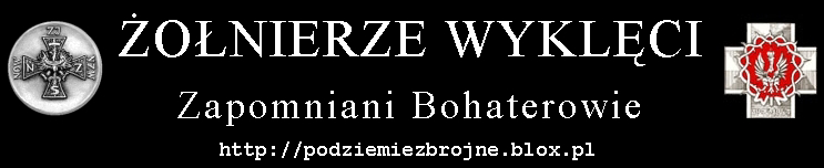 Szczególne i serdeczne podziękowania BIP składa Twórcy strony internetowej: http:// podziemiezbrojne.blox.pl - Panu Grzegorzowi Makusowi.