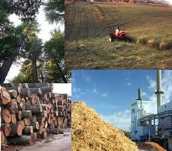 Odnawialne źródła energii w Polsce: biomasa, energia wody, energia wiatru, zasoby