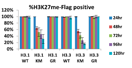 Gradual loss of H3K27me3 in MEF cells