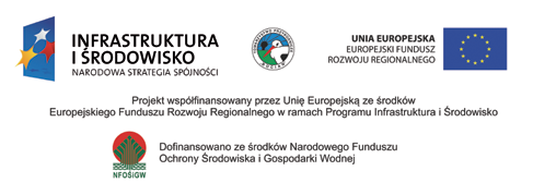 Odpowiednie terminy koszeń to sposób na ochronę kulika. fot. Bogusław Kotlarz Charakterystyczną cechą kulika jest bardzo długi, zakrzywiony do dołu dziób. fot. Cezary Korkosz www.cezarykorkosz.
