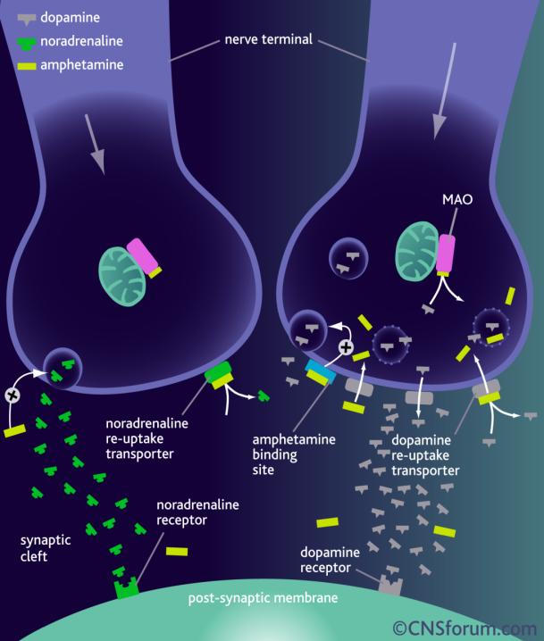 receptory opioidowe rozgrzane do