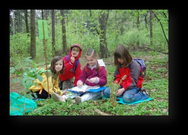 Przyrodnicze spotkania Śląskiego Ogrodu Botanicznego Program edukacyjny dla szkół podstawowych, gimnazjalnych i ponadgimnazjalnych Miejsce spotkań: Śląski Ogród Botaniczny Mikołowie, rezerwat