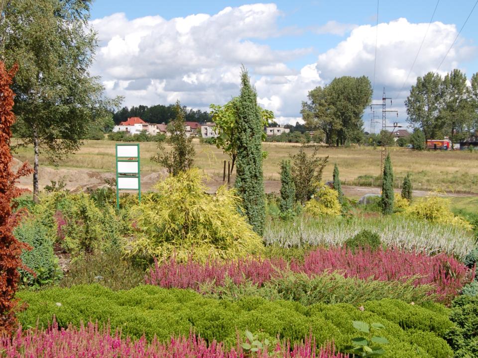 Kolekcje w Śląskim Ogrodzie Botanicznym ERICARIUM Najmniejsza kolekcja Śląskiego Ogrodu Botanicznego Założona w 2009 roku Celem kolekcji jest zaprezentowanie różnorodności roślin