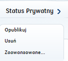 Dodawanie nowych wpisów cd. Dopóki Twój wpis nie zostanie opublikowany ma status prywatny.