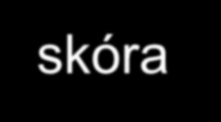 Ośrodkowa regulacja temperatury ciała Tempo procesów życiowych zależy od temperatury. Zwierzęta stałocieplne utrzymują stałą temperaturę wnętrza ciała niezależnie od temperatury otoczenia.