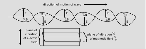 2 E x 2 = 1 2 E c 2 t 2 W fali płaskiej wektory B, E, oraz k, wyznaczający kierunek propagacji fali, są w każdej chwili prostopadłe do siebie. Fale te poruszają się z prędkością c.