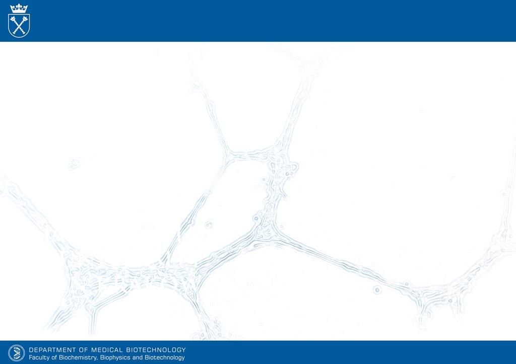 Mechanisms of blood vessels formation