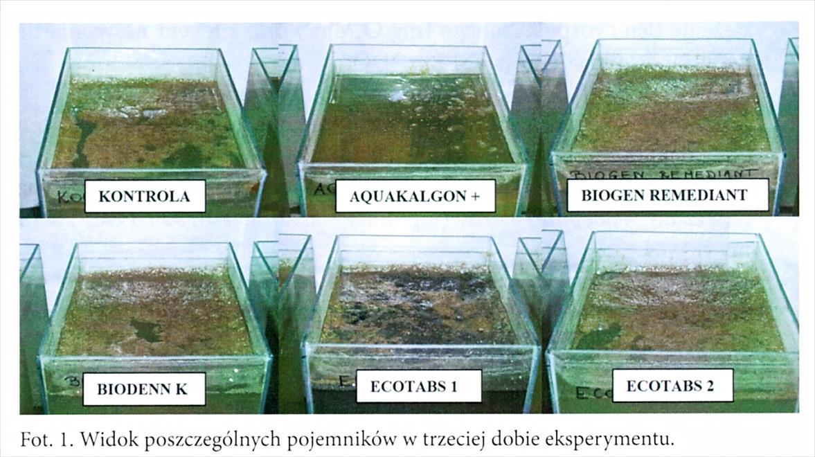 Czy probiotyki są