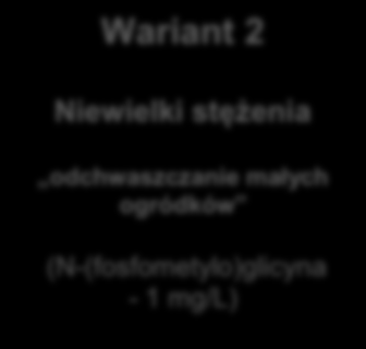 Opis eksperymentu Ze względu na fakt, iż Roundup działa z pewnym czasem latencji (zgodnie ze specyfikacją wyraźny efekt działania na rośliny dwuliścienne wywiera po okresie około 7 dni) warianty