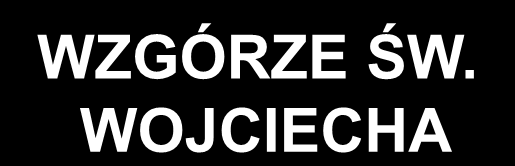 TRAKT KRÓLEWSKO-CESARSKI / ORAZ PŁN.-PŁD. ULICE RINGU: ISTNIEJĄCE / PLANOWANE PŁN.