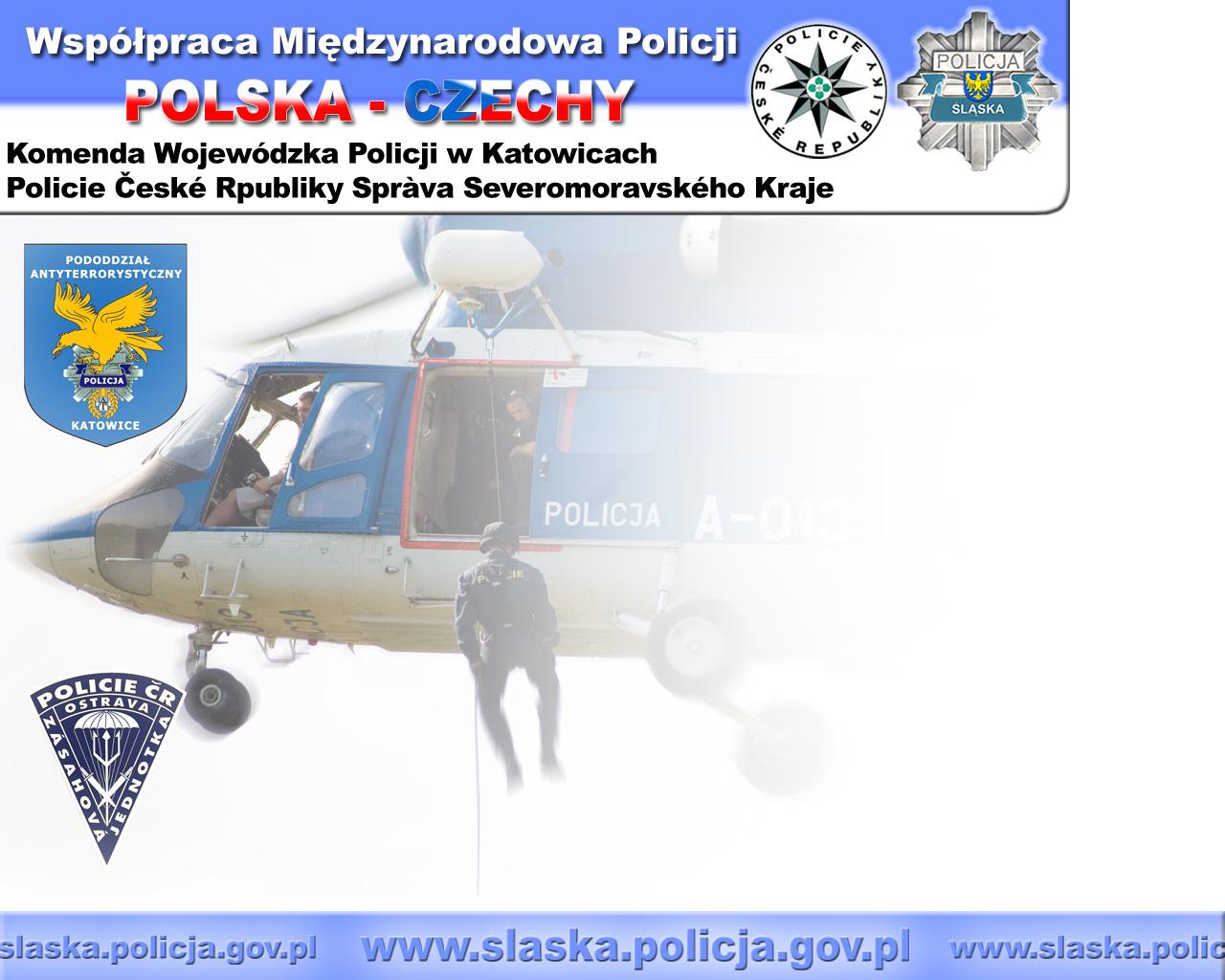 Spodziewane przedsięwzięcia na lata 2009 2013 Piony prewencji i kryminalny Policji: Sztab Policji, SPPP, SPAP, jednostki terenowe Policji i