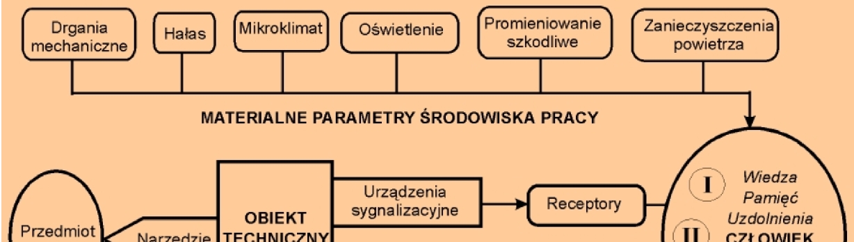 Człowiek