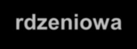 Układ przywspółczulny (parasympatyczny) składa się z: części mózgowiowej części rdzeniowej Część mózgowiowa - jądra przywspółczulne niektórych nerwów czaszkowych w pniu mózgu (4 nerwy czaszkowe mają