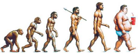 erectus H. sapiens H.