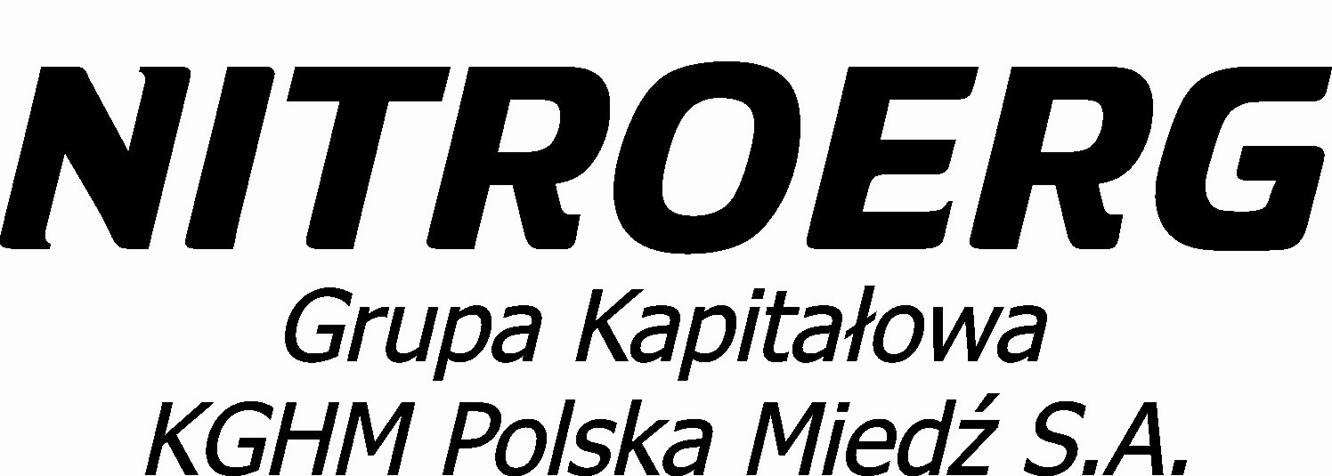 NITROERG SA Plac Alfreda Nobla 1 43-150 Bieruń Specyfikacja Istotnych Warunków Zamówienia na realizację