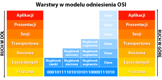 Warstwa aplikacji Zadanie: zapewnienie dostępu do usług sieciowych procesom aplikacyjnym