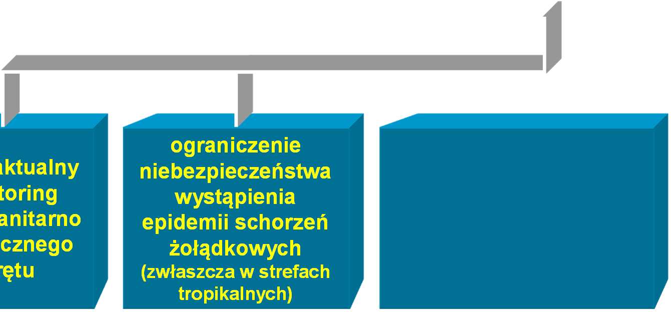 epidemii schorzeń żołądkowych (zwłaszcza w strefach tropikalnych) stworzenie systemu przeciwdziałania możliwości ataku