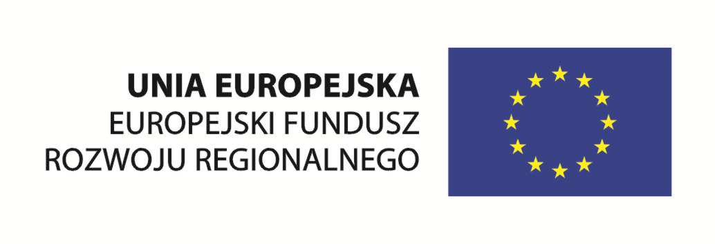 Program Operacyjny Innowacyjna Gospodarka 2007-20132013 Działanie 8.3. Przeciwdziałanie wykluczeniu cyfrowemu - einclusion Dotacje na innowacje Inwestujemy w Waszą przyszłość Władza Wdrażająca Programy Europejskie ul.