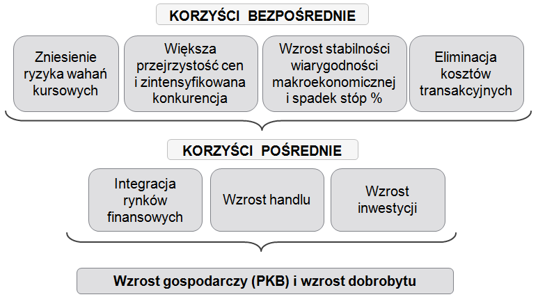 154 Ewa Tomczak-Woźniak Do najbardziej znanych i oczywistych korzyści wprowadzenia wspólnej waluty należy eliminacja kosztów transakcyjnych związanych z wymianą walut narodowych.