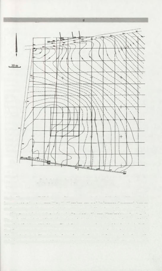 Cemetery of the Corded Ware and Trzcinlec Cultures in Gabułtów 403 Fig. 2. Gabułtów, Site 1. Hypsometric map of the site Ryc. 2. Gabułtów, stan. 1. Ran wysokościowy stanowiska Corded Ware culture (CWC) in the area (Włodarczak 2006,167,170).